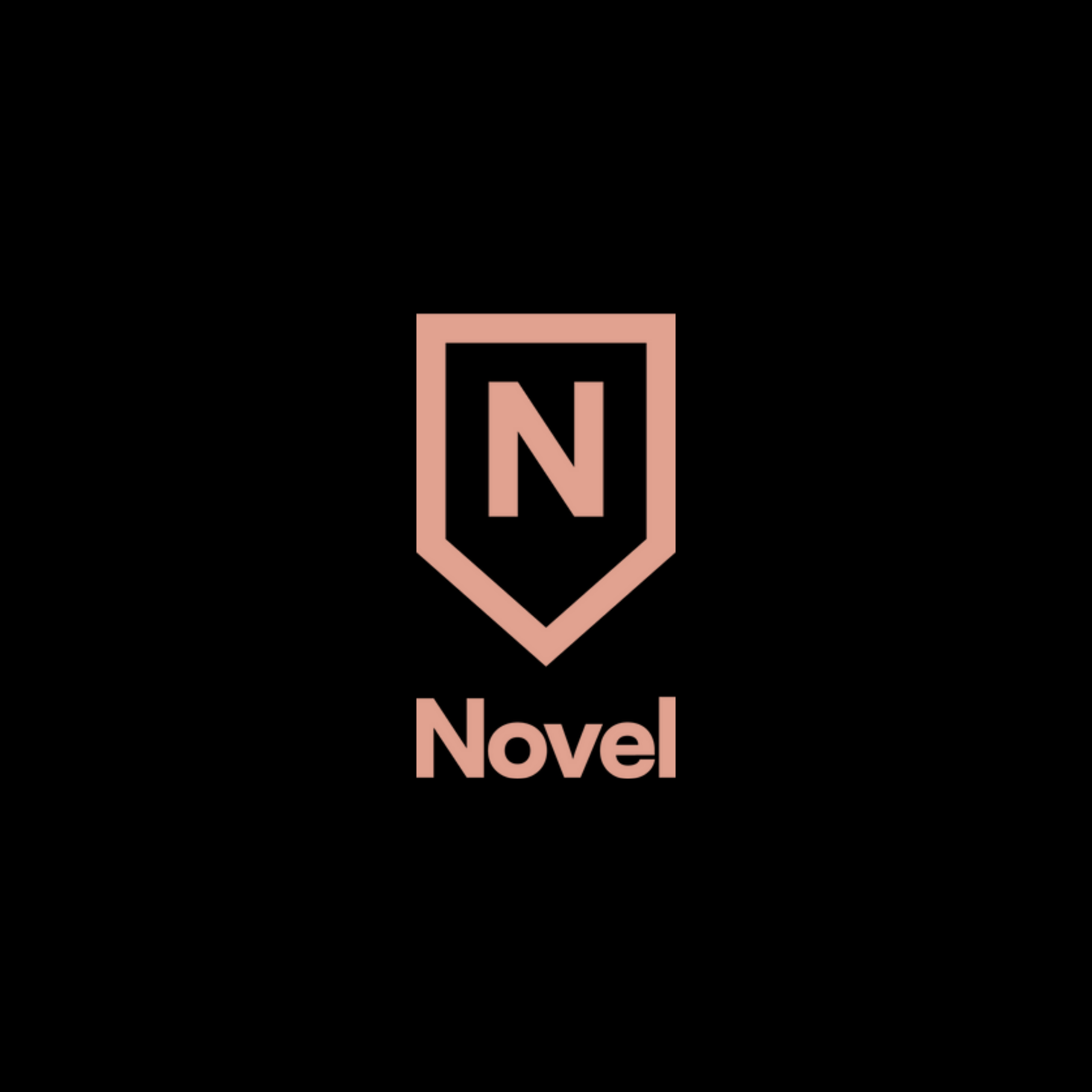 novel